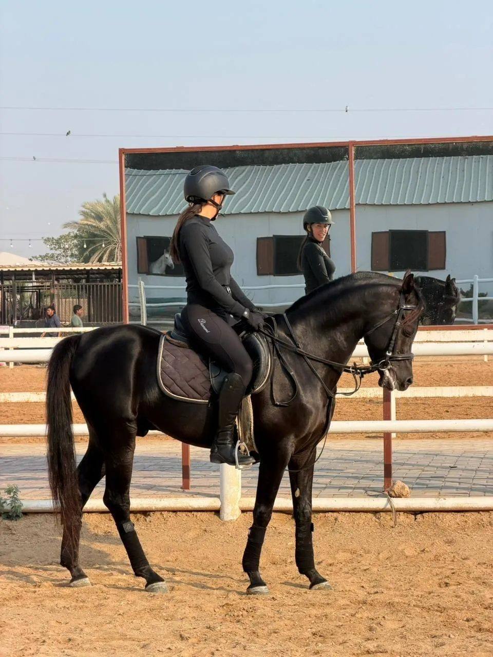 Riders competing at DXB Horse Riding