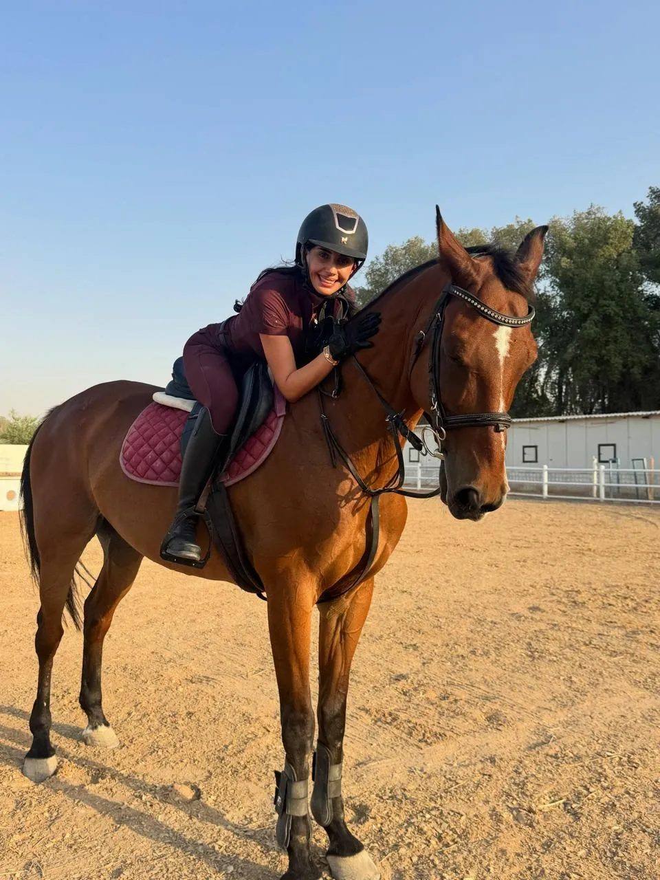 Horse training session in the arena
