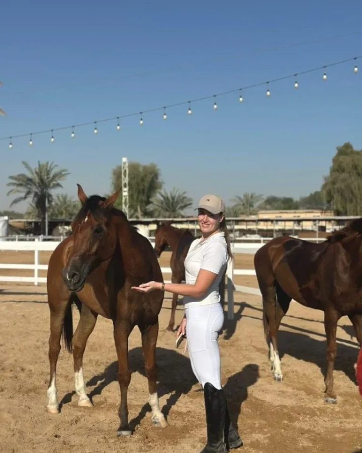 Desert Rides