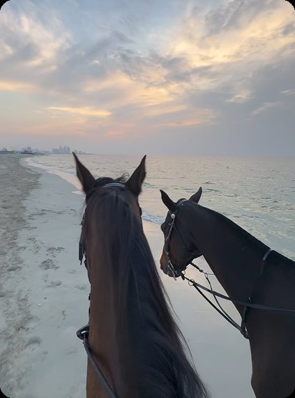 Private Rides