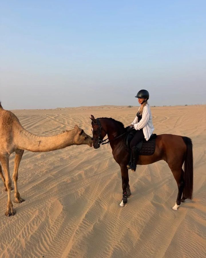 Horse Training